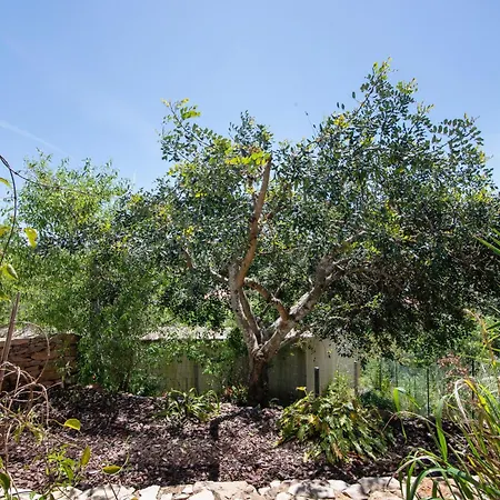 Tiny House São Brás de Alportel