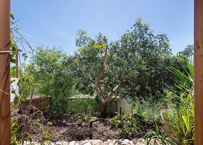 Tiny House São Brás de Alportel